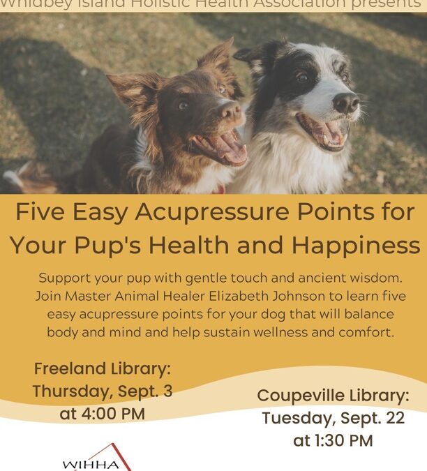 For Your Health: Five Easy Acupressure Points for Your Pup’s Health and Happiness