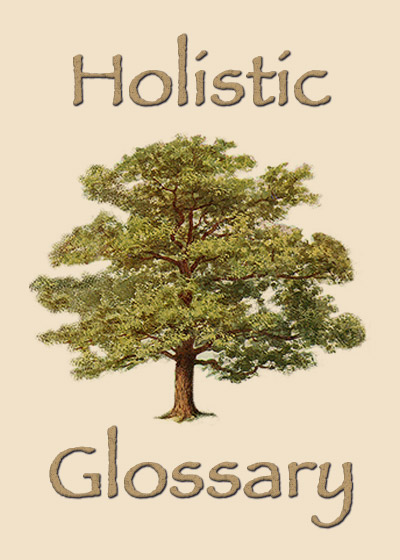 View Holistic Glossary